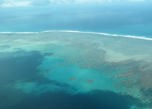 Barrière-corail-Mayottepng